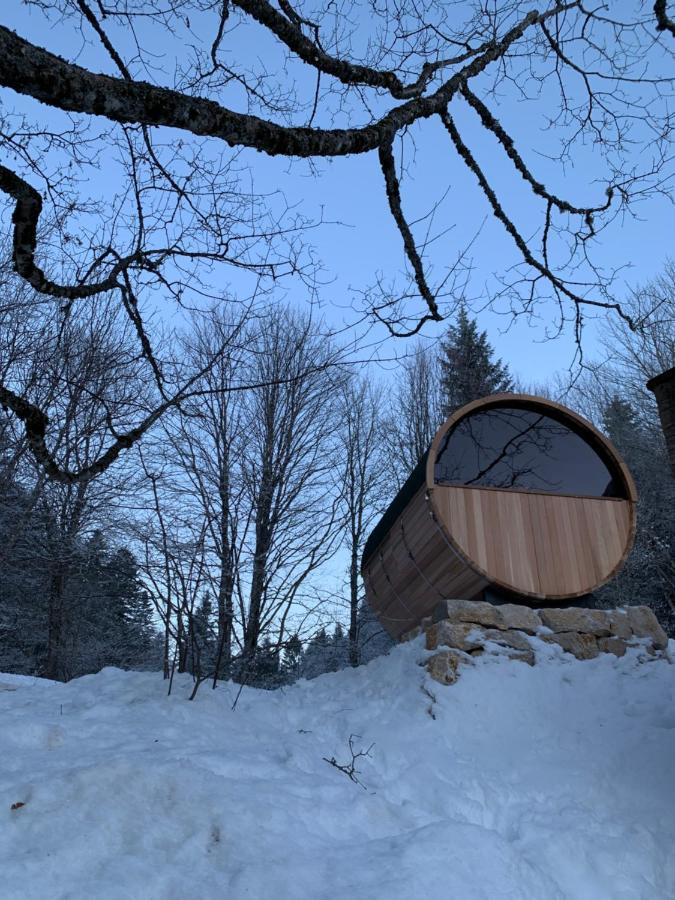 Chalet Ott - Apartment In The Mountains With Sauna Saint-Cergue Exteriér fotografie