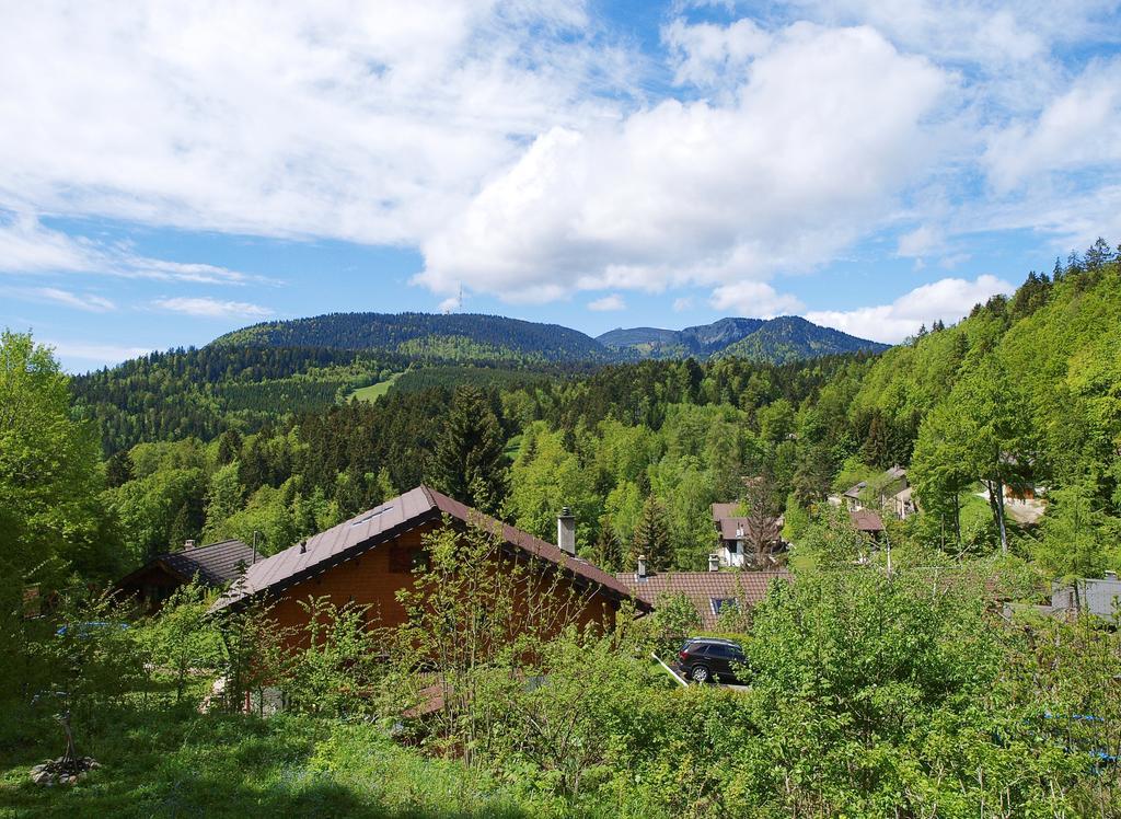 Chalet Ott - Apartment In The Mountains With Sauna Saint-Cergue Pokoj fotografie