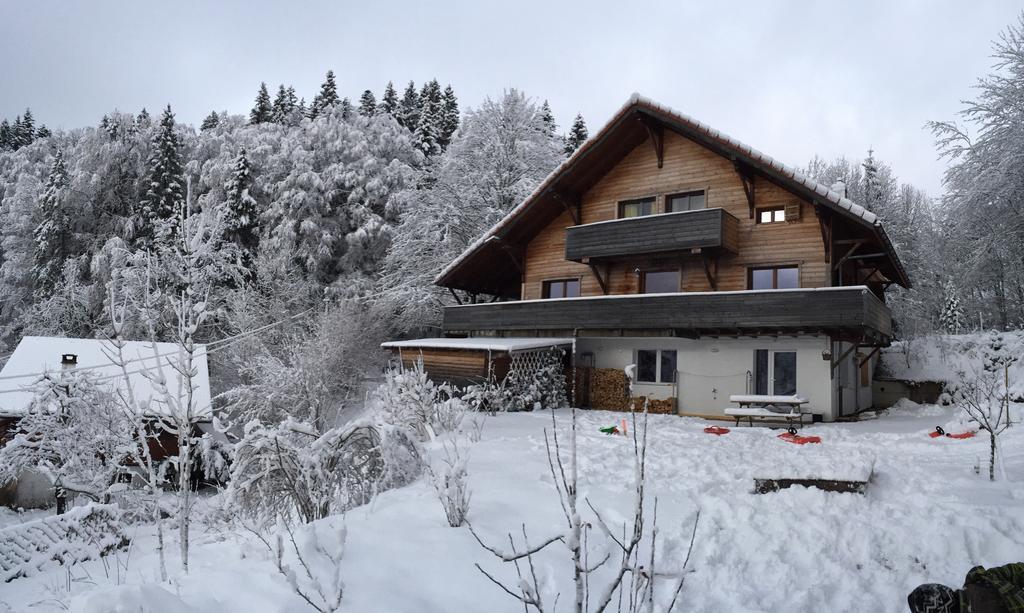 Chalet Ott - Apartment In The Mountains With Sauna Saint-Cergue Pokoj fotografie